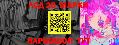 молекула духа Кингисепп