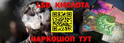 молекула духа Кингисепп