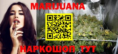 молекула духа Кингисепп