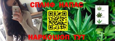 бошки Кинель