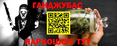 молекула духа Кингисепп