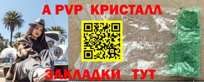 молекула духа Кингисепп