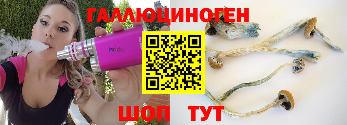 Псилоцибиновые грибы Psilocybine cubensis  Реутов 